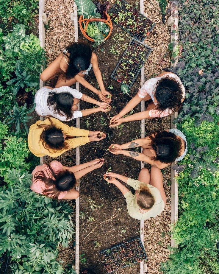Groupe de personnes en train de planter des légumes dans un jardin partagé biologiq